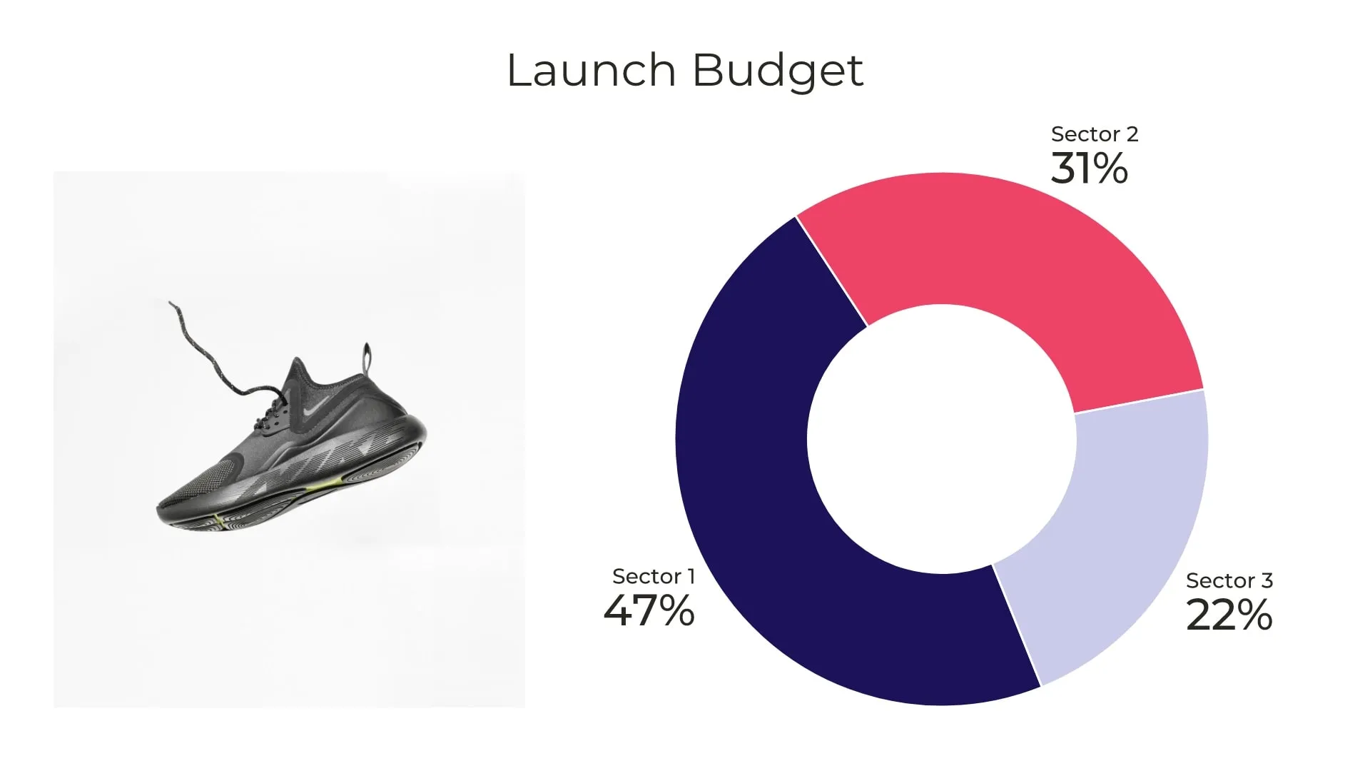 Launch Budget